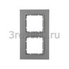 [10126424] Рамка 2 постовая пластик, вертикальная/горизонтальная вставка алюминиевая (алюминий матовый) <Berker-B.7.>