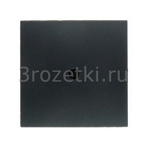 3rozetki.ru - Berker - S.1. - [10191606] Лицевая панель кабельного вывода (антрацитовый матовый ).