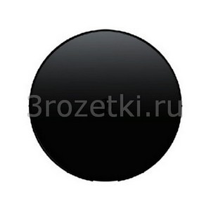 3rozetki.ru - Berker - R - [10192045] Лицевая панель кабельного вывода (чёрный глянец).