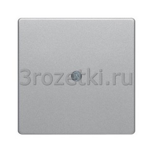 3rozetki.ru - Berker - Q - [10196084] Лицевая панель кабельного вывода (алюминиевый бархат).