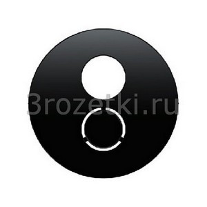 3rozetki.ru - Berker - R - [11962045] Лицевая панель акустической розетки Hi-End ''для колонок'' (чёрный глянец).