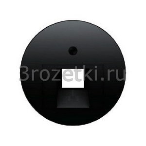 3rozetki.ru - Berker - R - [14072045] Лицевая панель одинарной информационной розетки UAE 1xRJ11/12/45 (чёрный глянец).
