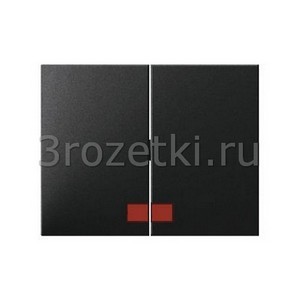 3rozetki.ru - Berker - K.1. - [14377006] Клавиша 2я с линзой подсветки (антрацит).