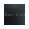 [16201606] Клавиша 1я (антрацитовый матовый ) <Berker-S.1.>
