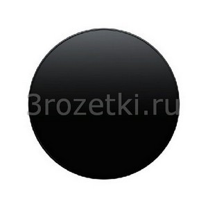 3rozetki.ru - Berker - R - [16202045] Клавиша 1я (чёрный глянец).