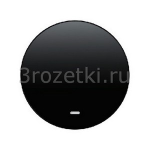 3rozetki.ru - Berker - R - [16212045] Клавиша 1я с линзой подсветки (чёрный глянец).