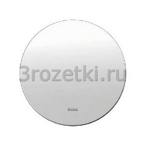 3rozetki.ru - Berker - R - [16212089] Клавиша 1я с линзой подсветки (белый глянец).