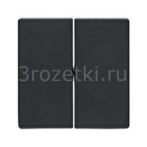 3rozetki.ru - Berker - Q - [16236086] Клавиша 2я (антрацитовый бархат).
