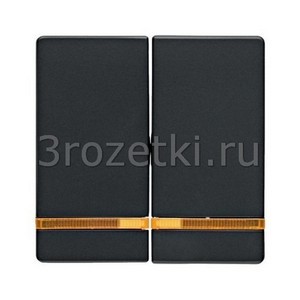 3rozetki.ru - Berker - Q - [16276086] Клавиша 2я с линзой подсветки (антрацитовый бархат).