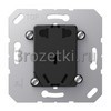 [3521-5CNEINS] Socket insert for China, без выключателя <Jung>