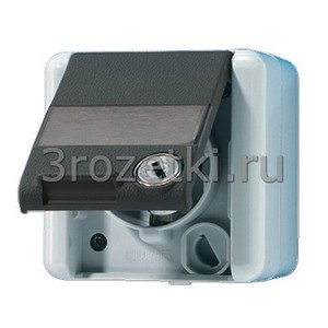 3rozetki.ru - Jung - [820NAWSL] SCHUKO®-розетка 16 A / 250 B ~, с 2 ключами (24 различных варианта механизма).