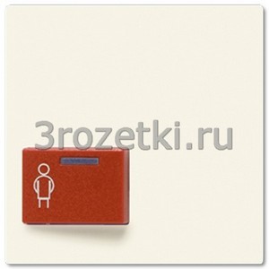 3rozetki.ru - Jung - [A022A-1] Крышка для Ackermann, тип 73022 A 2, для серий AS и A, слоновая кость.