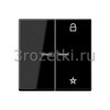 [A1701BFSW] Центральная плата универсальная, Термопласт (ударопрочный) блестящий, чёрный <Jung>