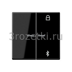 3rozetki.ru - Jung - [A1751BFBTSW] Таймер универсальный Bluetooth, Термопласт (ударопрочный) блестящий, чёрный.