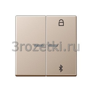 3rozetki.ru - Jung - [A1751BTCH] Таймер универсальный Bluetooth, Дуропласт лакиров., цвет шампанского.