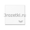 [A590BFLWW] Клавиша с символом «освещение», Термопласт (ударопрочный) блестящий, белый <Jung>