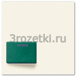 3rozetki.ru - Jung - [A642C] Крышка для Ackermann, тип 73642 C, для серий AS и A, слоновая кость.