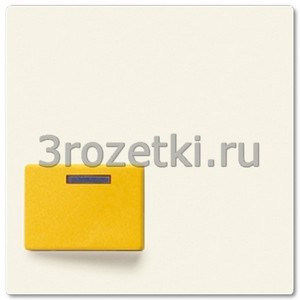 3rozetki.ru - Jung - [A642D] Крышка для Ackermann, тип 73642 D, для серий AS и A, слоновая кость.