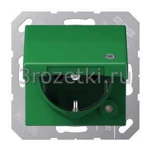 3rozetki.ru - Jung - [ABAS1520KLKOGN] SCHUKO®-розетка 16 A / 250 B ~, Термопласт (ударопрочный) блестящий – антибактериальный, зелёный.