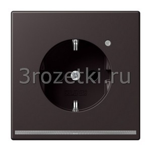 3rozetki.ru - Jung - [AL1520-ODLNW] SCHUKO®-розетка 16 A / 250 B ~, Металлическое исполнение, dark (лакиров.).