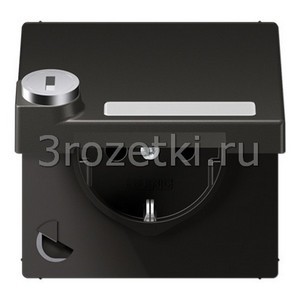 3rozetki.ru - Jung - [AL1520NAKLSLAN] SCHUKO®-розетка 16 A / 250 B ~, Металлическое исполнение, антрацит (лакиров.).