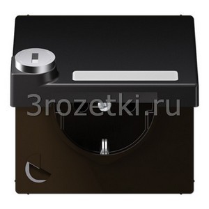 3rozetki.ru - Jung - [AL1520NAKLSLD] SCHUKO®-розетка 16 A / 250 B ~, Металлическое исполнение, dark (лакиров.).