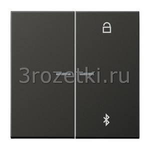 3rozetki.ru - Jung - [AL1751BTAN] Таймер универсальный Bluetooth, Металлическое исполнение, антрацит (лакиров. алюминий).