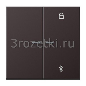 3rozetki.ru - Jung - [AL1751BTD] Таймер универсальный Bluetooth, Металлическое исполнение, dark (лакиров. алюминий).