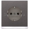 [AL2520-OANLEDW] SCHUKO®-розетка 16 A / 250 B ~, Металлическое исполнение, антрацит (лакиров. алюминий) <Jung>