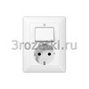 [AS5576UWW] SCHUKO®-розетка 16 A / 250 B ~ с универсальным выключателем 10 AX / 250 B ~, Блестящий дуропласт (ус <Jung>