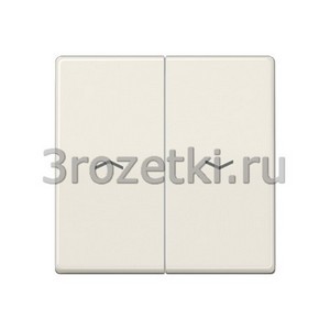 3rozetki.ru - Jung - [AS591-5PBF] Клавиша с символами, Термопласт (ударопрочный) блестящий, слоновая кость.