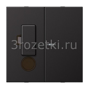 3rozetki.ru - Jung - [BS2190CUKOALDPL] Накладка, Металлическое исполнение, dark (лакиров. алюминий).