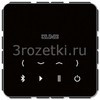 [BTCCD508SW] Bluetooth Connect, чёрный <Jung>