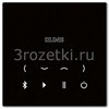 [BTCLS908SW] Bluetooth Connect, чёрный <Jung>