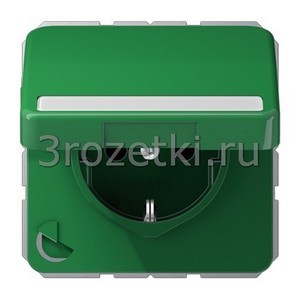 3rozetki.ru - Jung - [CD1520BFNAKLGN] SCHUKO®-розетка 16 A / 250 B ~, Термопласт (ударопрочный) блестящий, зелёный.