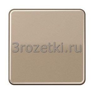 3rozetki.ru - Jung - [CD1700GB] Центральная плата стандарт, Металлическое исполнение (анодированный алюминий), золотая бронза.