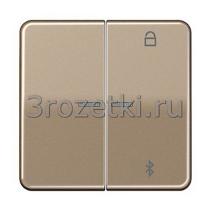 3rozetki.ru - Jung - [CD1751BTGB] Таймер универсальный Bluetooth, Металлическое исполнение (лакиров.), золотая бронза.