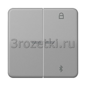 3rozetki.ru - Jung - [CD1751BTGR] Таймер универсальный Bluetooth, Блестящий дуропласт (устойчив к механическим повреждениям), серый.