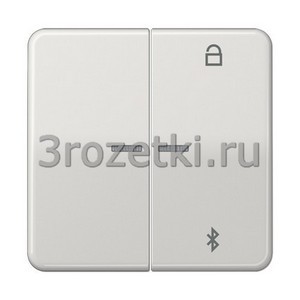 3rozetki.ru - Jung - [CD1751BTLG] Таймер универсальный Bluetooth, Блестящий дуропласт (устойчив к механическим повреждениям), светло-с.