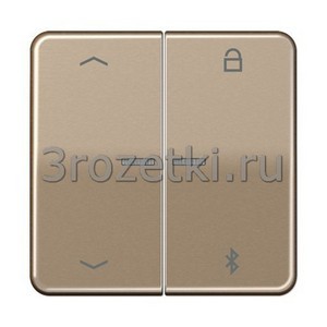 3rozetki.ru - Jung - [CD1751PBTGB] Таймер универсальный Bluetooth «стрелки», Металлическое исполнение (лакиров.), золотая бронза.