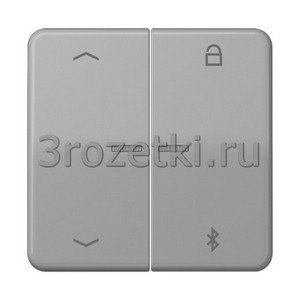 3rozetki.ru - Jung - [CD1751PBTGR] Таймер универсальный Bluetooth «стрелки», Блестящий дуропласт (устойчив к механическим повреждениям).