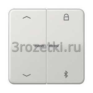 3rozetki.ru - Jung - [CD1751PBTLG] Таймер универсальный Bluetooth «стрелки», Блестящий дуропласт (устойчив к механическим повреждениям).