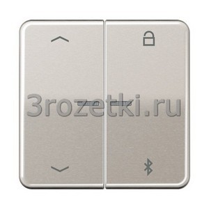 3rozetki.ru - Jung - [CD1751PBTPT] Таймер универсальный Bluetooth «стрелки», Металлическое исполнение (лакиров.), платина.