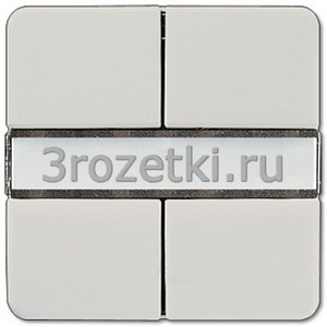 3rozetki.ru - Jung - [CD2072NABSLG] KNX кнопочный сенсор, 2 группы, Термопласт (ударопрочный) блестящий, светло-серый.