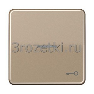 3rozetki.ru - Jung - [CD590KO5TGB] Kлавиша с символом «ключ» и окошком, Металлическое исполнение (анодированный алюминий), золотая брон.