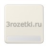 [CD590NA] Kлавиша с полем для надписи 9 х 58 мм, Блестящий дуропласт (устойчив к механическим повреждениям), с <Jung>