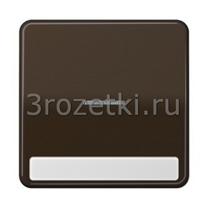 3rozetki.ru - Jung - [CD590NAKO5BR] Клавиша с окошком и с полем для надписи 9 x 58 мм, Блестящий дуропласт (устойчив к механическим повр.