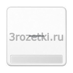 3rozetki.ru - Jung - [CD590NAKO5WW] Клавиша с окошком и с полем для надписи 9 x 58 мм, Блестящий дуропласт (устойчив к механическим повр.