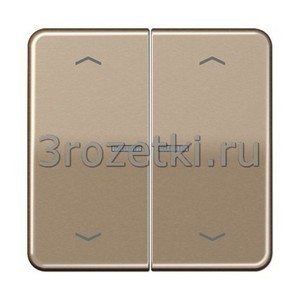 3rozetki.ru - Jung - [CD595KO5MPGB] Клавиша с подсветкой и с символами, Металлическое исполнение (анодированный алюминий), золотая бронз.