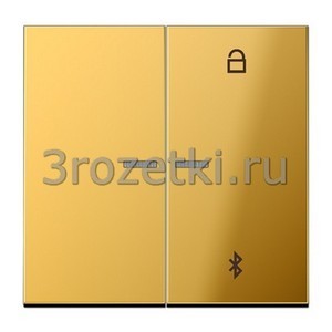 3rozetki.ru - Jung - [GO1751BT] Таймер универсальный Bluetooth, Металлическое исполнение, имитация золота.